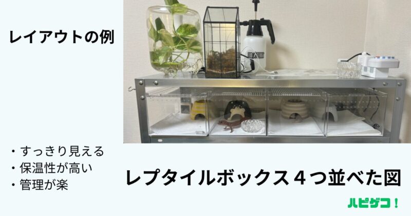 レプタイルボックス４つ並べた図